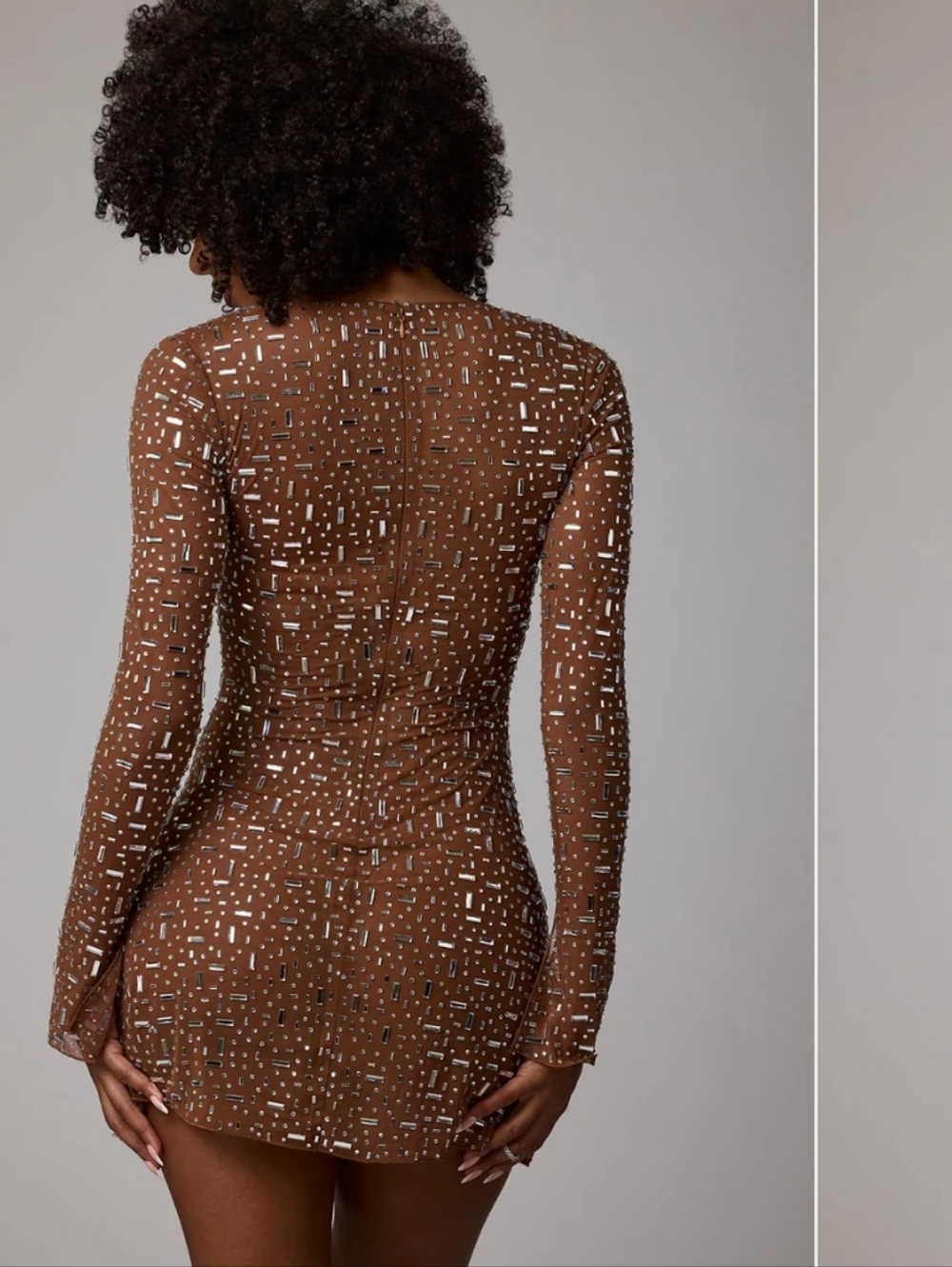 Sheer Embellished Long Sleeve A-Line Mini Dress in Mocha - Picture 3 of 4